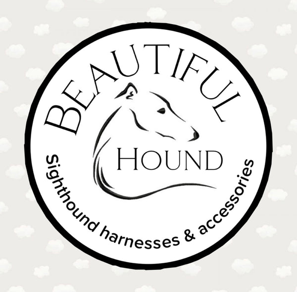 Beautiful Hound