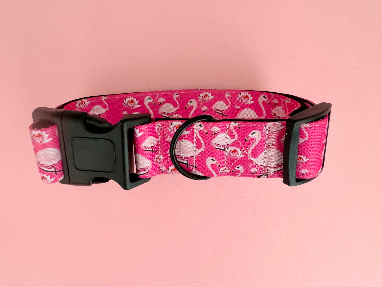 ‘Fancy Flamingo’ webbing collar