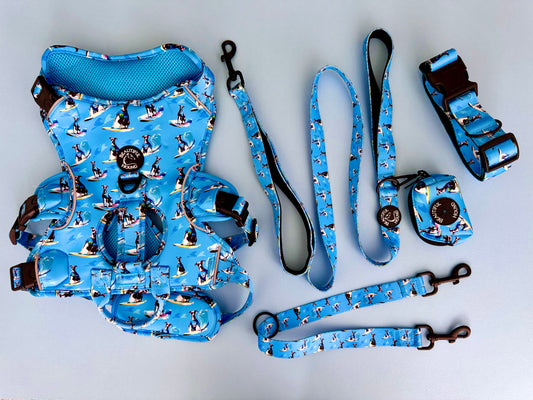 ‘Greyt Surf’ blue escape proof harness 5 piece matching set