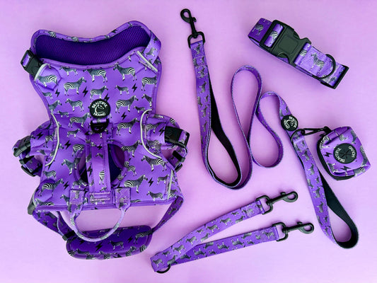 ‘Zebra Stripes’ purple escape proof harness 5 piece matching set